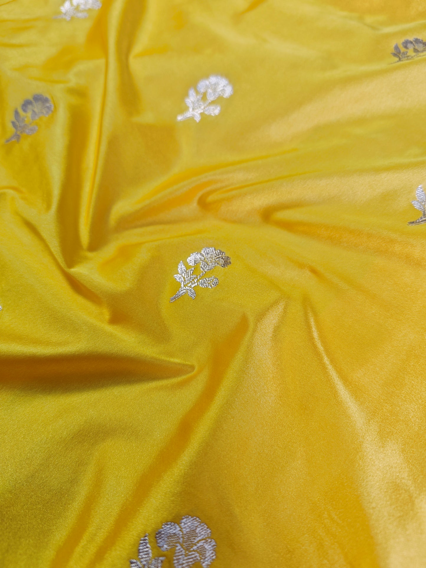 Scallop Border Gold Mashru Katan MS-11