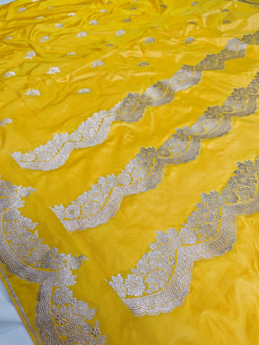 Scallop Border Gold Mashru Katan MS-11